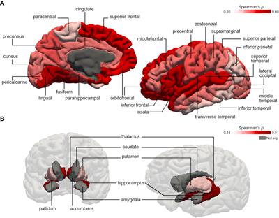 Regular physical activity moderates the adverse impact of type 2 diabetes on brain atrophy independently from HbA1c